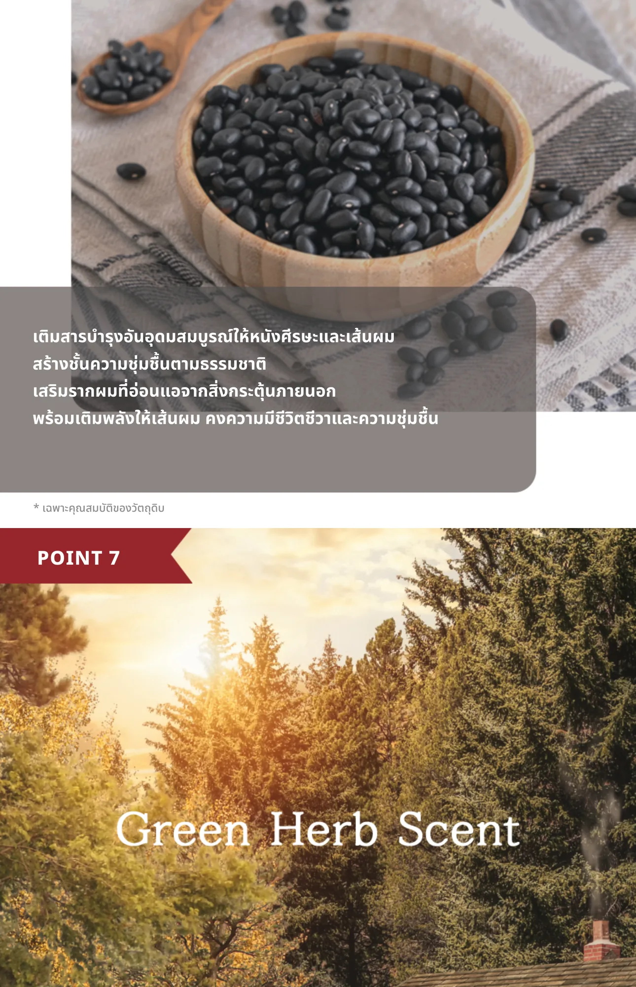 Caffeine 3-Step Set 12