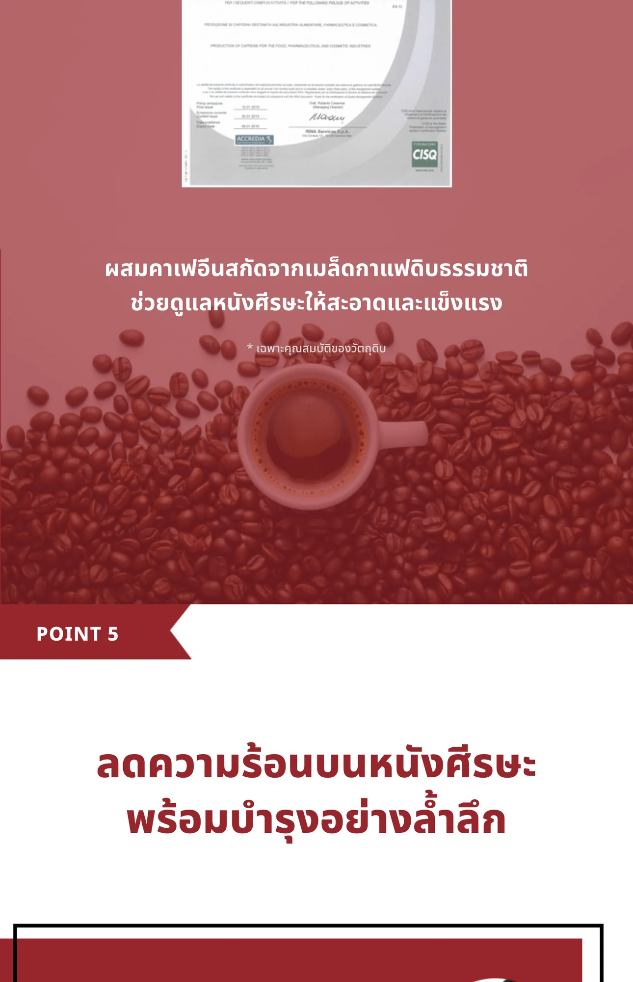 Caffeine Shampoo 9