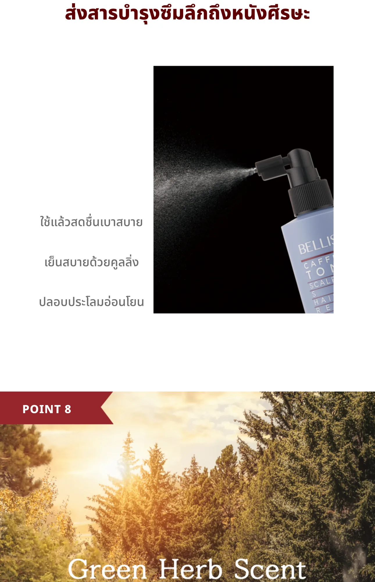 Caffeine Hair Tonic 13