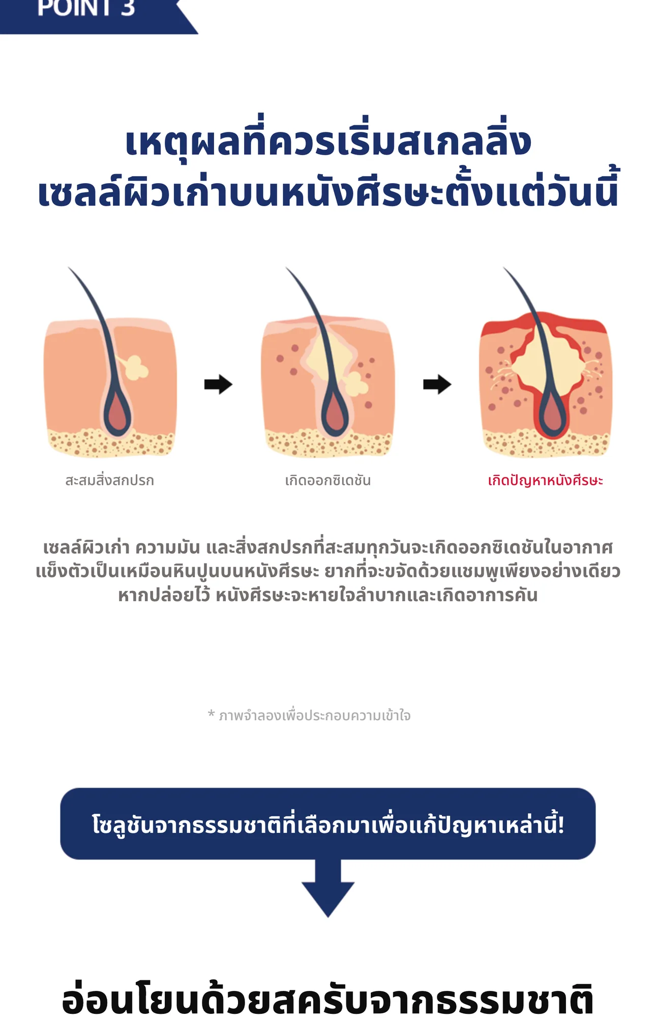Eucalyptus Scaling Gel 4