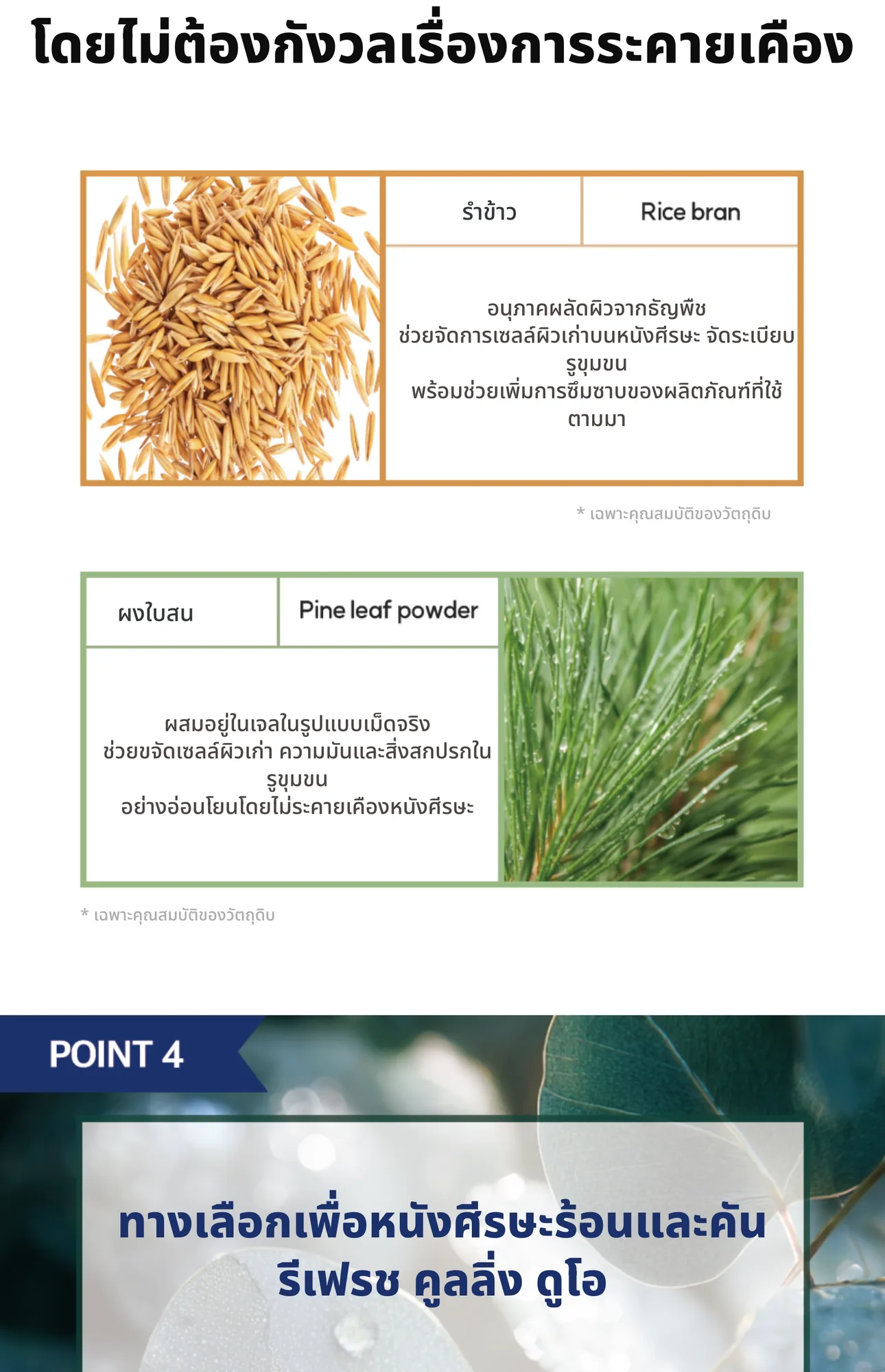 Eucalyptus Scaling Gel 5