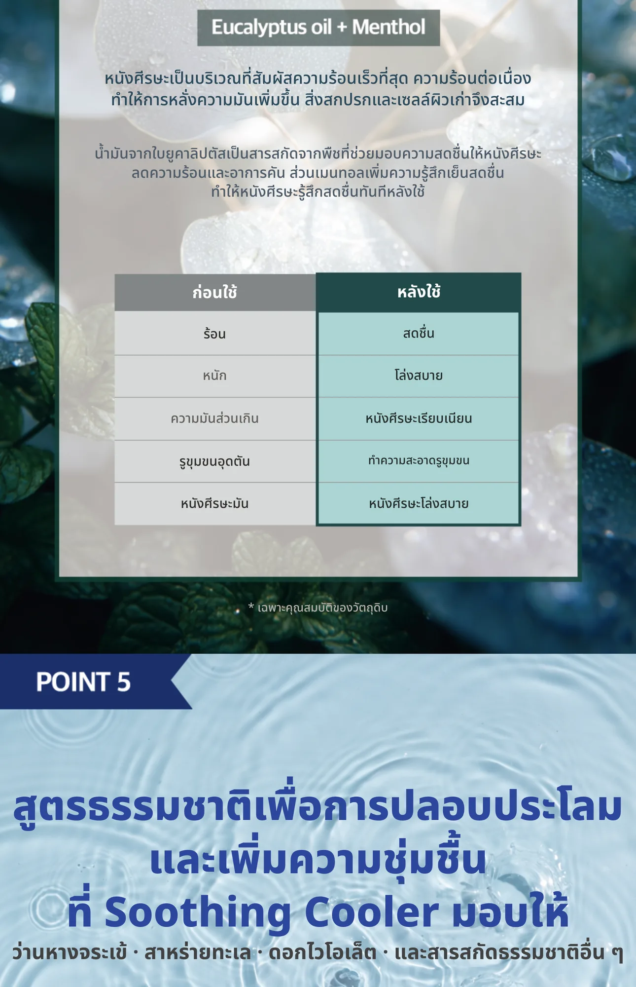Eucalyptus Scaling Gel 6