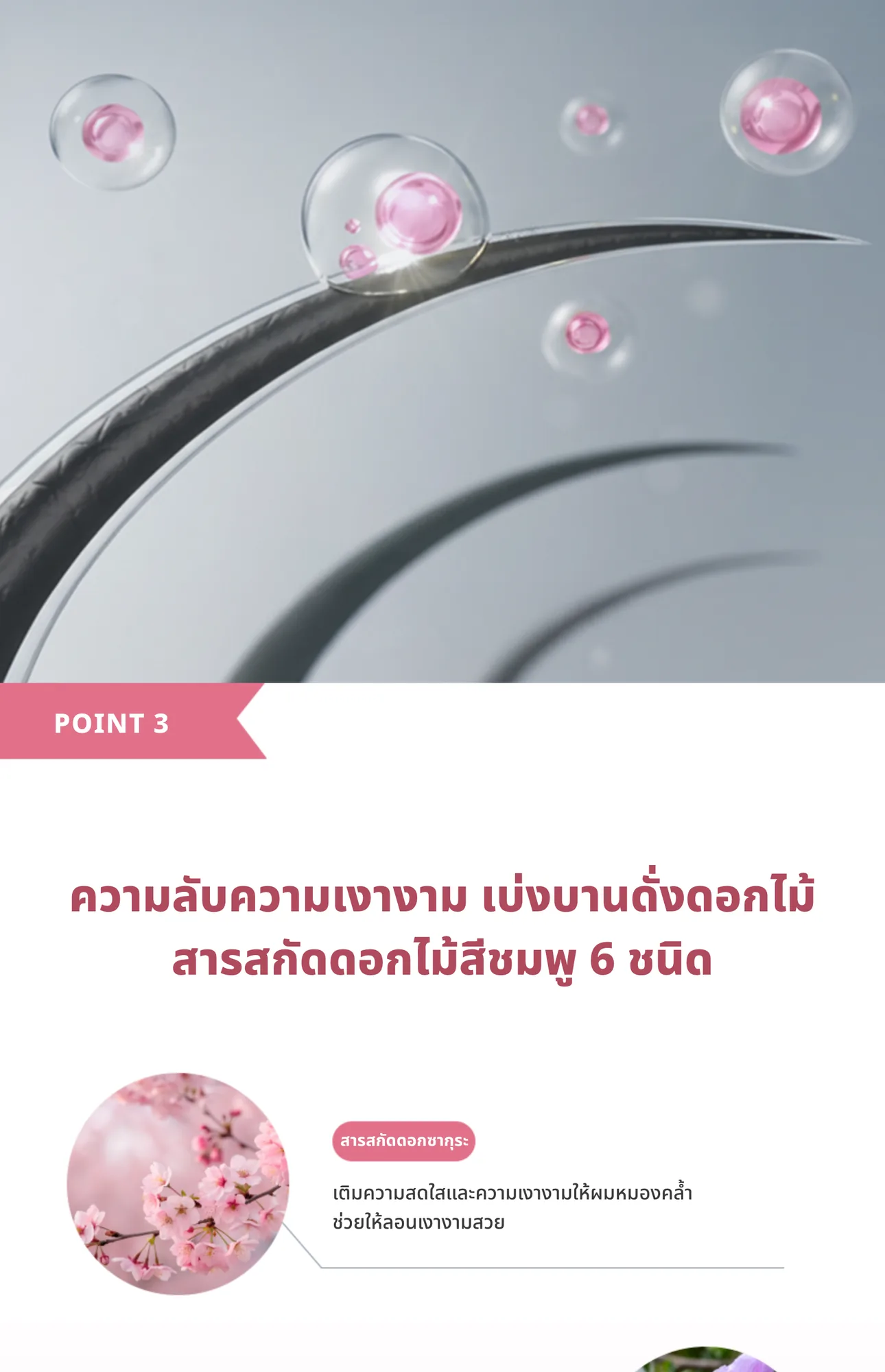 Silk Curl Cream 5